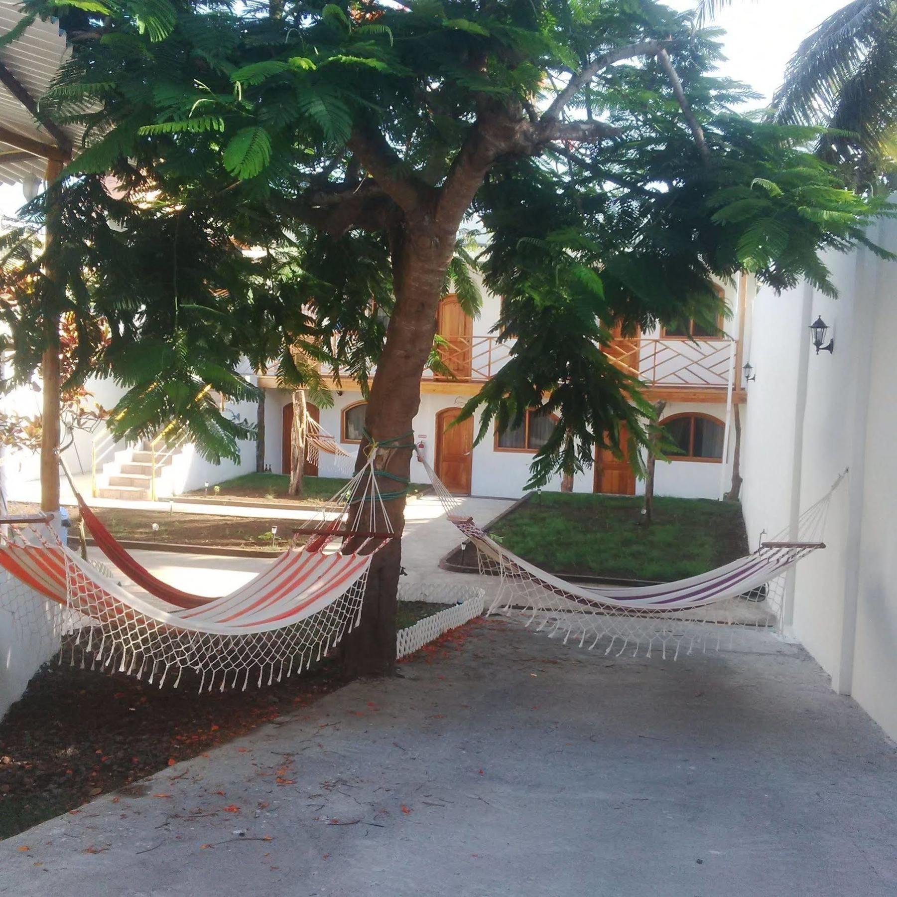 Hostal White House Galapagos Puerto Ayora  Luaran gambar