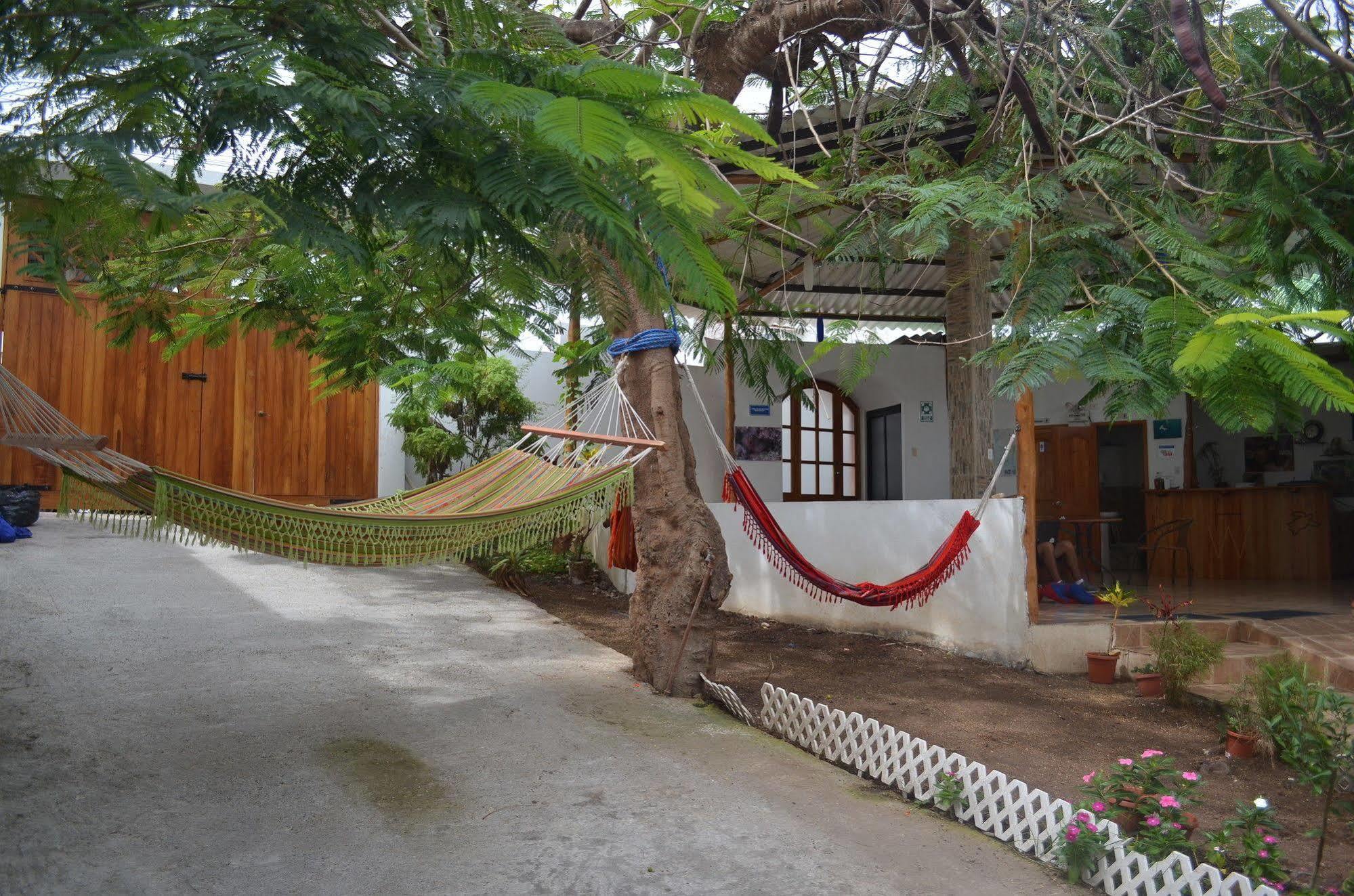 Hostal White House Galapagos Puerto Ayora  Luaran gambar
